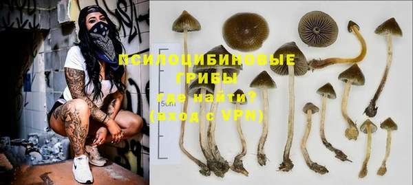 гашик Алексин